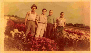 Phil, Joe, August Sr., &amp; Mike Corso